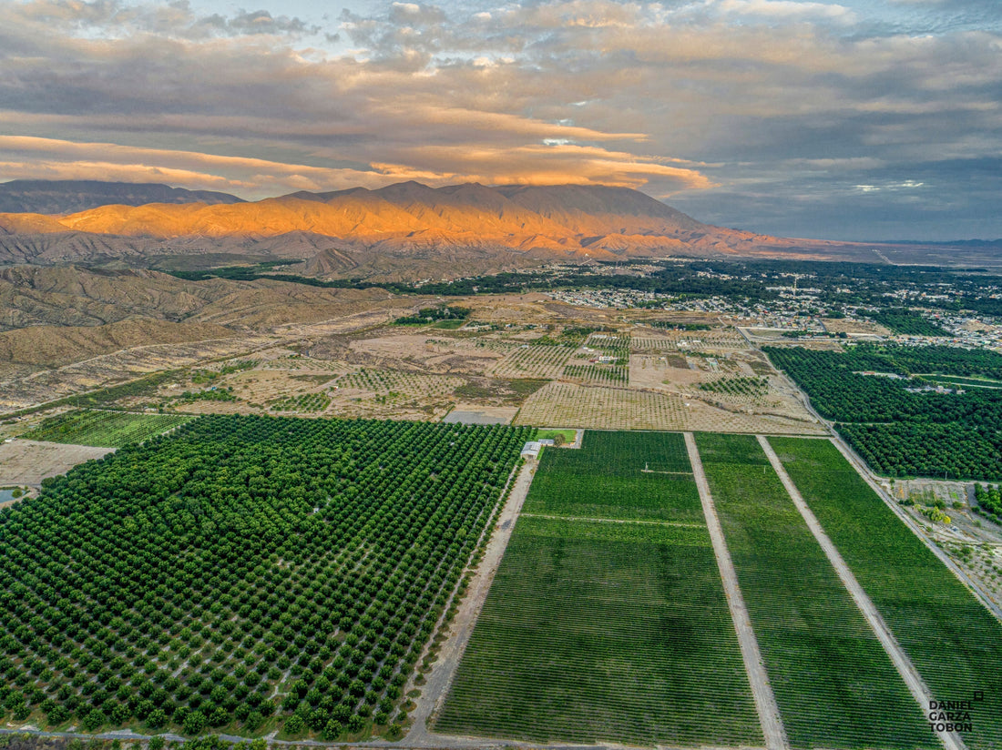 Your travel guide to Mexico’s wine region