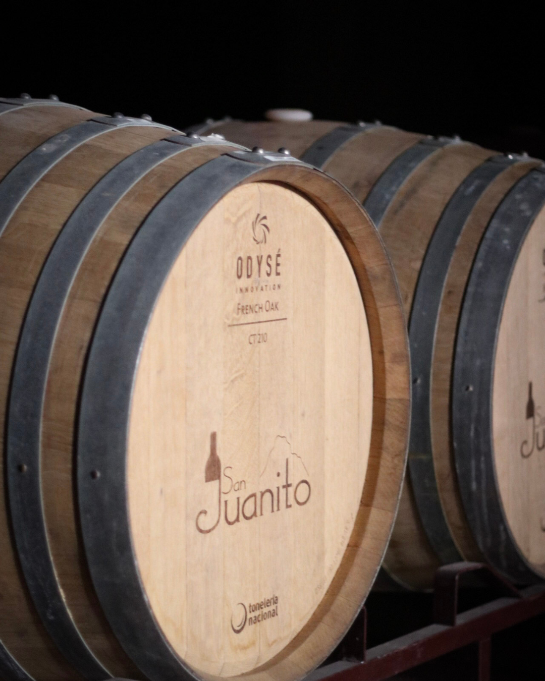 San Juanito - Syrah Gran Reserva 2016