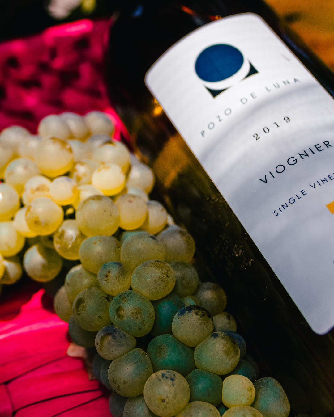 Pozo de Luna - Viognier 2021