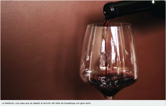 MEXICAN WINE CELEBRATED IN FRANCE AND GERMANY