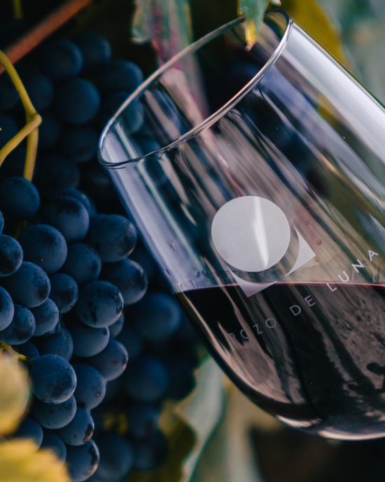 Pozo de Luna Malbec
