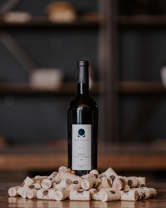 Pozo de Luna Merlot